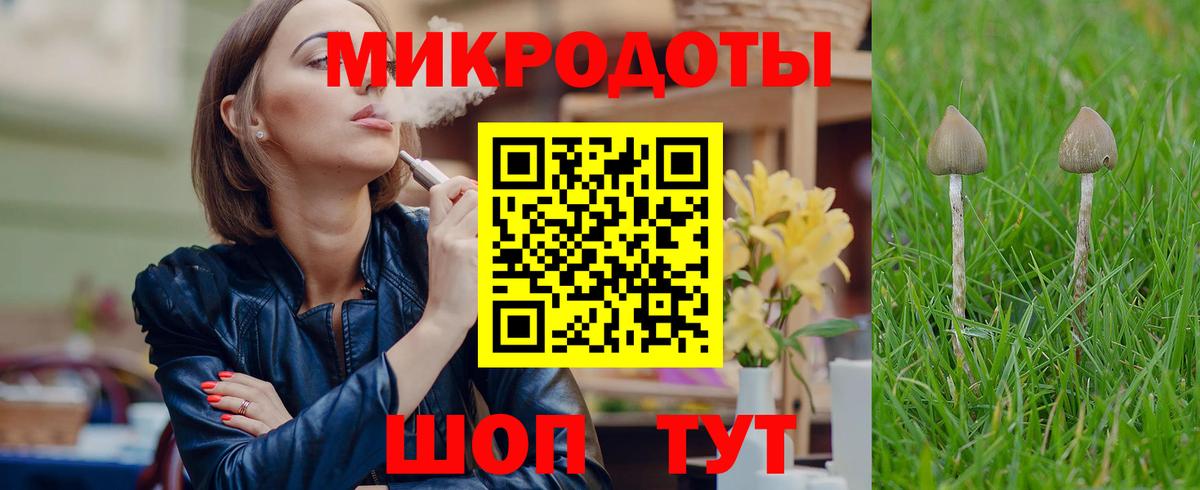 Галлюциногенные грибы GOLDEN TEACHER  продажа наркотиков  Сегежа  Вход с VPN 